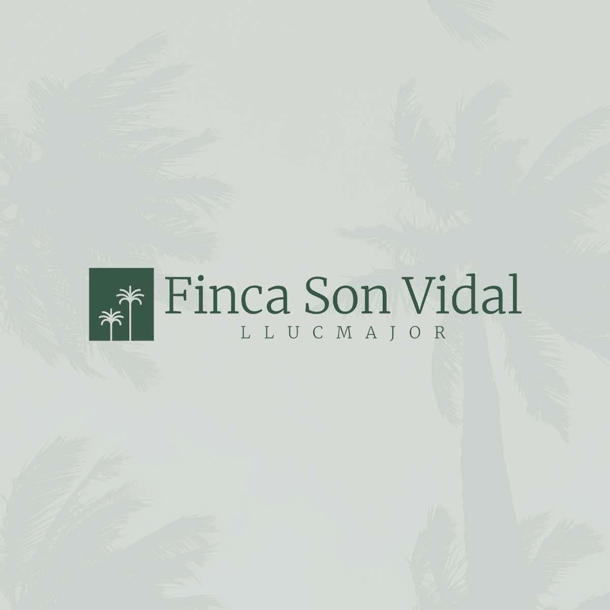Finca Son Vidal